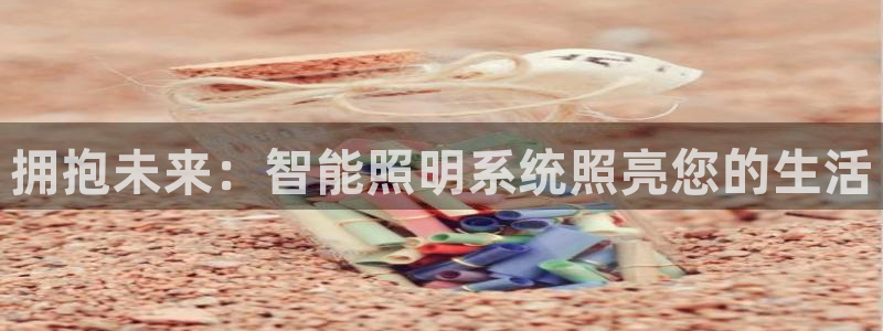 云顶集团中国区总裁